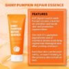 Shiny Pumpkin Repair Essence